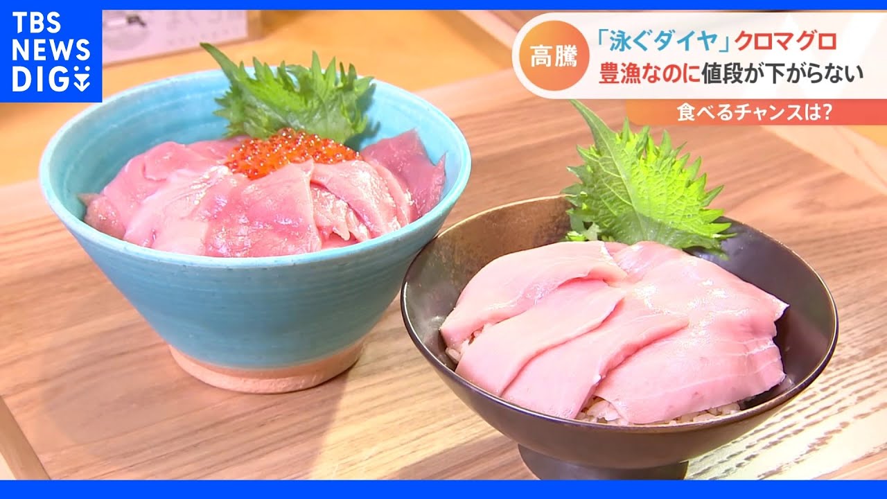 “泳ぐダイヤ”クロマグロ 今年は豊漁!なのに高騰!食べるなら今が最後のチャンスかも?|TBS NEWS DIG