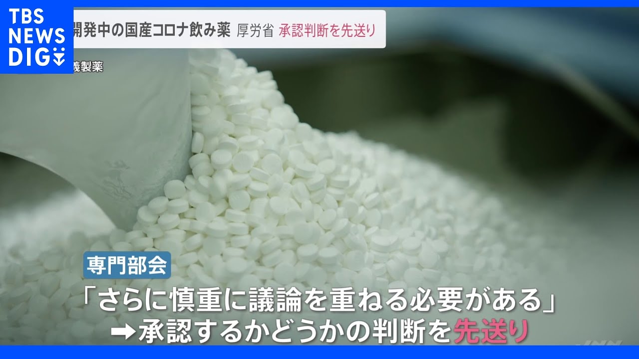 塩野義製薬のコロナ経口薬 承認判断を先送り 厚労省専門部会|TBS NEWS DIG