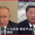 【習近平とプーチン氏】ビデオ演説で欧米の“ロシア制裁”批判