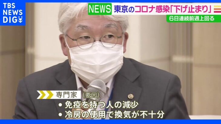 新型コロナ　専門家「東京の感染者数は下げ止まった」｜TBS NEWS DIG