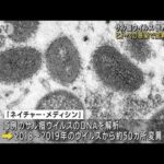 “サル痘”世界で拡大　ヒトへの感染で変異加速か(2022年6月25日)