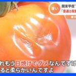 “史上最速”の梅雨明けで夏野菜に影響が…きゅうりもトマトもほうれん草も大打撃！東京では3日連続の猛暑日に｜TBS NEWS DIG