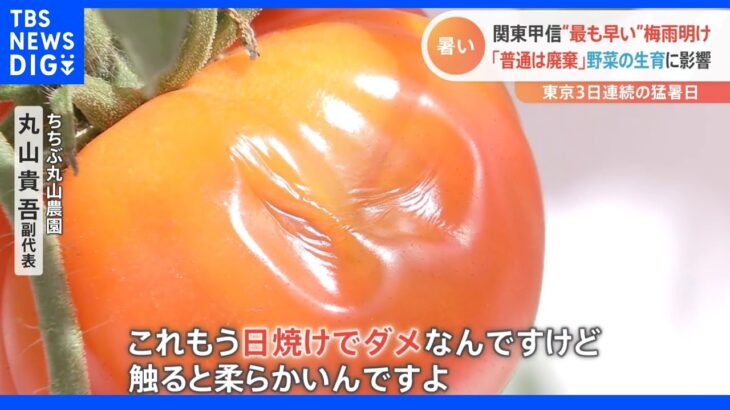 “史上最速”の梅雨明けで夏野菜に影響が…きゅうりもトマトもほうれん草も大打撃！東京では3日連続の猛暑日に｜TBS NEWS DIG