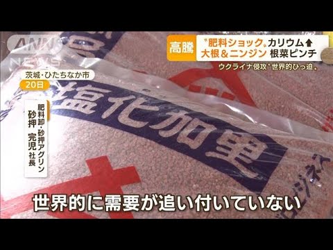 “肥料ショック”世界的ひっ迫　「根野菜」ピンチ…「秋・冬野菜」の“価格高騰”懸念(2022年6月28日)