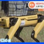 人手不足の林業の救世主となるか ソフトバンクが四足歩行ロボットの実証実験｜TBS NEWS DIG