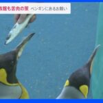 猛暑＋物価高 水族館では格安エサも…ペンギンは“拒否”｜TBS NEWS DIG