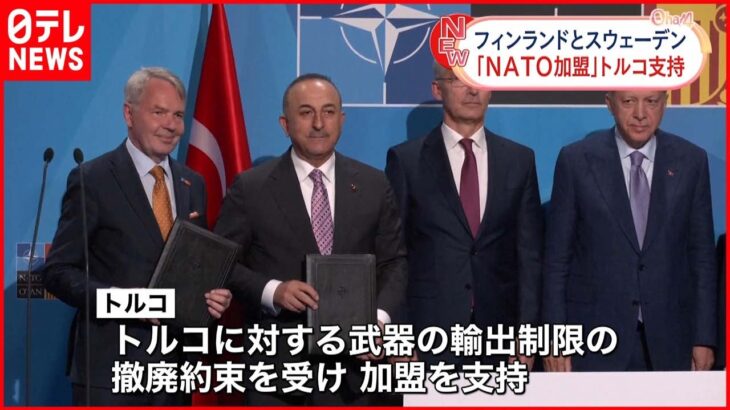 【トルコが支持表明】スウェーデンとフィンランド NATO加盟実現の見通し