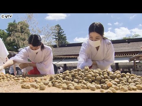 【京都・北野天満宮】記録が残る中で“最も早い”　梅雨明けの恒例行事「大福梅」の土用干し