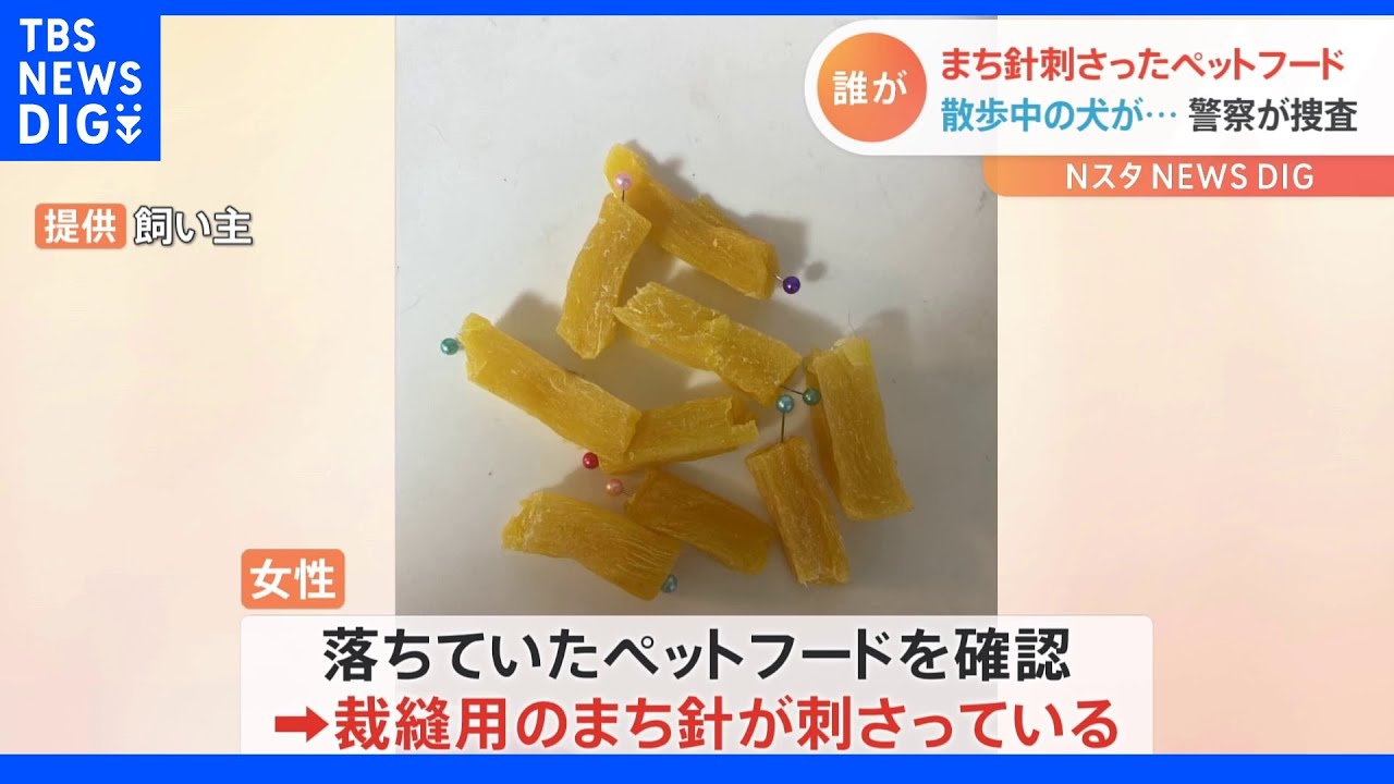 まち針が刺さったペットフード　散歩中の犬が誤飲　神奈川・座間市の路上｜TBS&nbsp;NEWS&nbsp;DIG