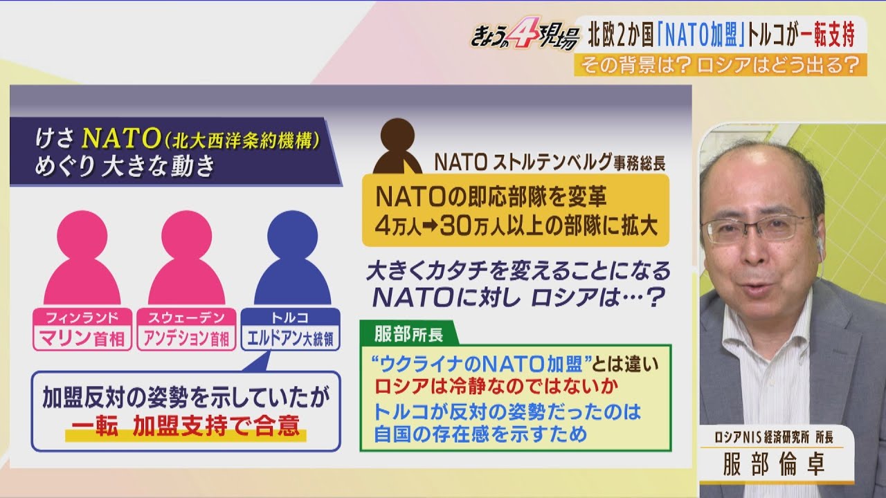 【専門家解説】トルコ支持で２か国ＮＡＴＯ加盟は「むしろプーチンには有利？」…日本のＮＡＴＯ首脳会議出席で得るものは？（2022年6月29日）