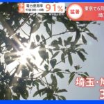 「空気全部蒸し暑い」「小籠包みたい」埼玉・鳩山町で39.9度 30日も全国で厳しい暑さ 東京では17年ぶり6月の最高気温更新｜TBS NEWS DIG