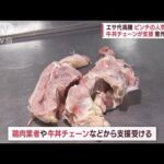 “エサ代高騰”でピンチの「人気動物園」を牛丼チェーンが支援　意外な理由とは？(2022年6月30日)