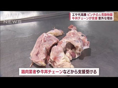 “エサ代高騰”でピンチの「人気動物園」を牛丼チェーンが支援　意外な理由とは？(2022年6月30日)