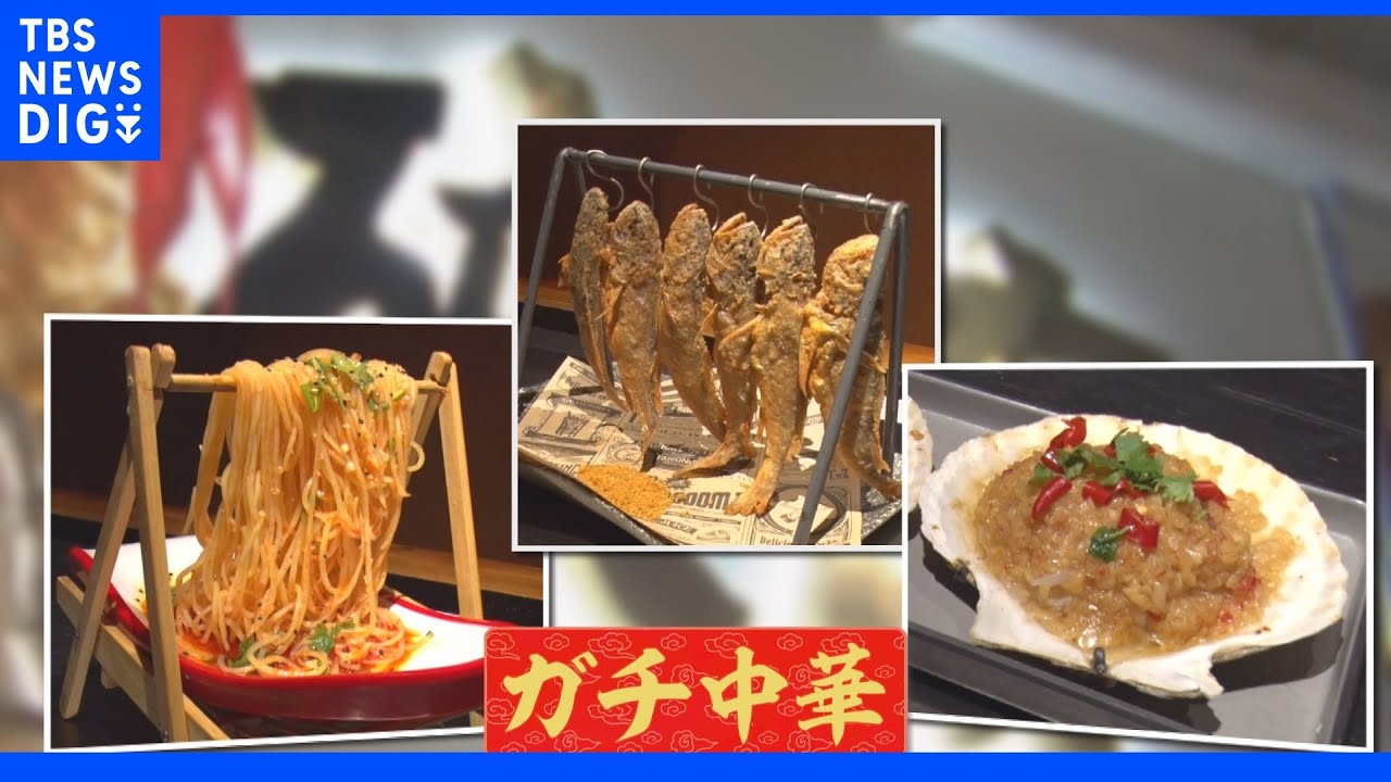 「ガチ中華」中国各地の料理が池袋で！しびれる旨辛「麻辣湯」にまるで屋台！伸びる「ビャンビャン麺」ディープな世界をご紹介｜TBS&nbsp;NEWS&nbsp;DIG