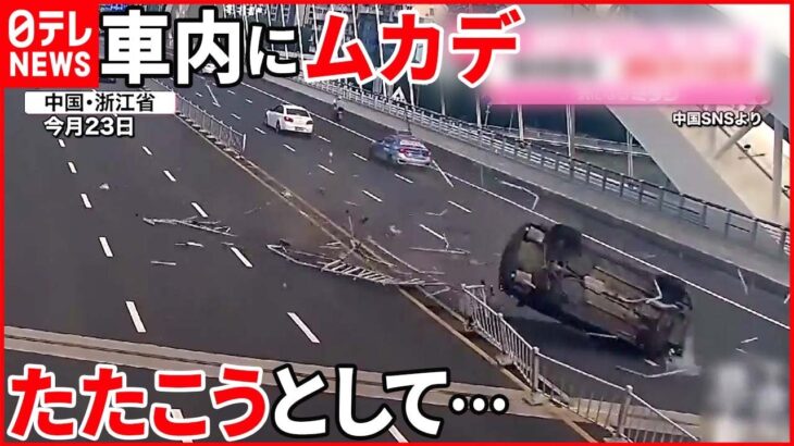 【中国】「ムカデをたたこうとしたら…」 車が“横転”し対向車線に…