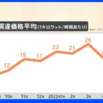 電気料金2倍で遊園地も悲鳴　背景に「新電力」　調達コスト高騰で事業撤退の動きも｜TBS NEWS DIG