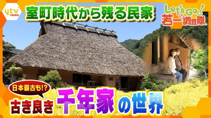 【若一調査隊】室町時代から残る民家2つの“千年家”