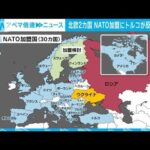【解説】北欧2カ国 NATO加盟に暗雲 ANNロンドン支局 佐藤裕樹記者【ABEMA NEWS】(2022年6月23日)