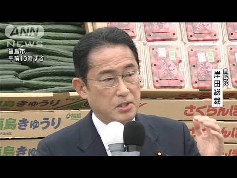 自民）岸田文雄総裁の第一声は？【参院選2022】(2022年6月22日)