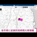 【速報】岩手県で記録的短時間大雨情報(2022年6月11日)
