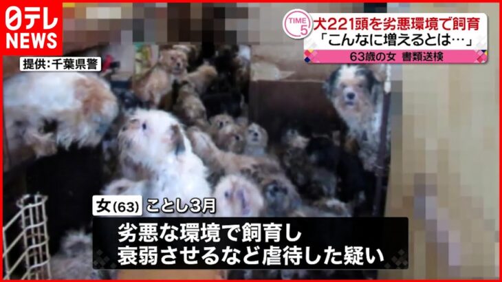 【書類送検】犬221頭を劣悪な環境で飼育し虐待した疑い　63歳女