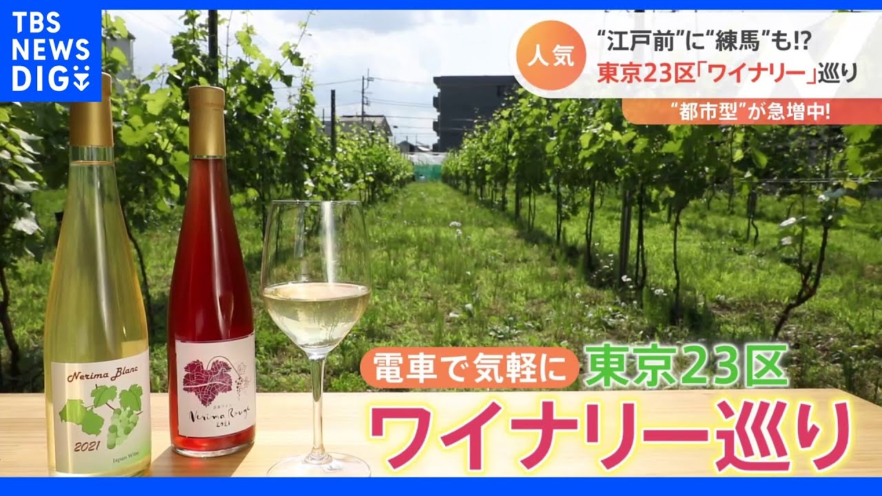 「都市型ワイナリー」急増中!東京23区ワイナリー巡り・・・近くて気軽に!身近に美味しく“都会の楽しみ方”|TBS NEWS DIG