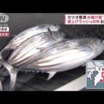 なぜ豊漁？カツオ水揚げ量“25倍”「大きくてうまい二刀流」今年ならではの理由(2022年6月13日)