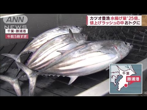 なぜ豊漁？カツオ水揚げ量“25倍”「大きくてうまい二刀流」今年ならではの理由(2022年6月13日)