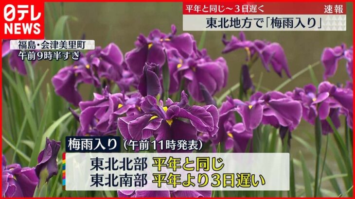 【速報】東北地方で「梅雨入り」 平年と同じ～3日遅く