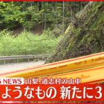 【速報】山中で人骨のようなもの 新たに3つ見つかる 山梨・道志村