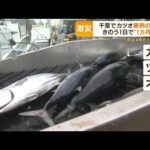 カツオ“異例の豊漁”　水揚げが35倍「激増」　4月の半額「激安」　食品値上げの中・・・(2022年6月1日)