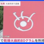 フジテレビ社員の男（38）を逮捕 “乾燥大麻”約80グラム所持の疑い「近く退職する予定でしたが、厳正に対処」｜TBS NEWS DIG