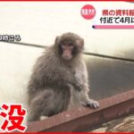 【サル出没】山口県庁の周辺 4月以降から目撃情報も