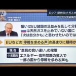 「欧州への揺さぶりが狙い」ドイツは4割に・・・ロシア産天然ガス“供給減”専門家解説(2022年6月20日)