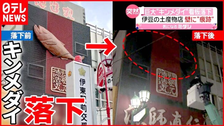 【4ｍ】巨大“キンメダイ”看板が落下 伊豆の土産物店で… 歩行者2人ケガ