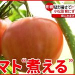 【危険な暑さ】野菜にも影響… 電力大手4社が“値上げ”発表