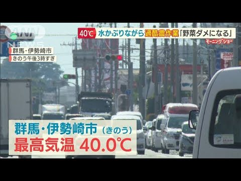 “体温超え”40℃の街を緊急取材…熱風浴びながら過酷農作業「野菜ダメになる」【羽鳥慎一 モーニングショー】(2022年6月30日)