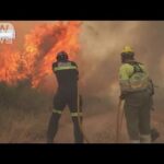 スペイン各地で山火事　熱波で連日気温40度超え(2022年6月18日)