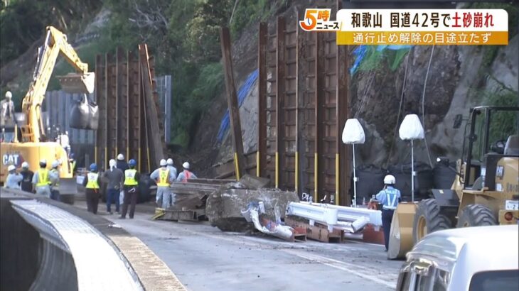 「国道42号」で土砂崩れ…一部区間で通行止め　『解除の目途立たず』　和歌山・串本町（2022年6月27日）