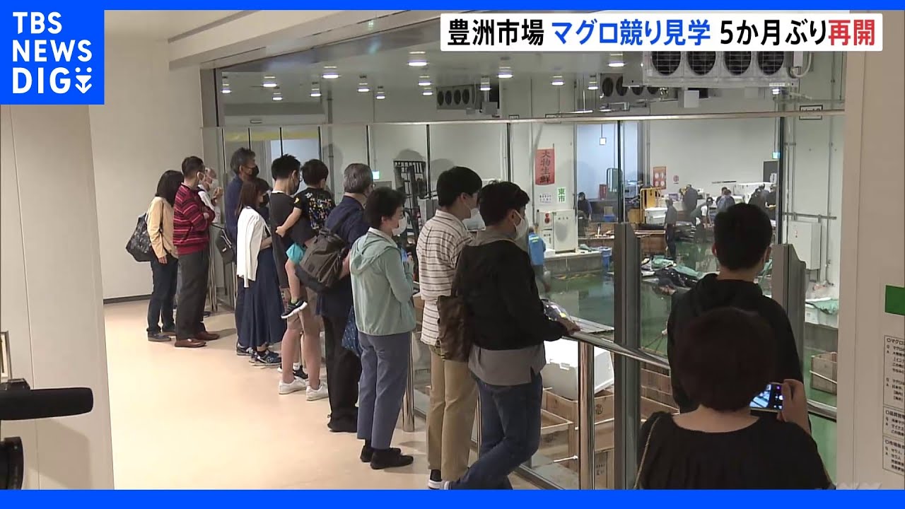 東京・豊洲市場のマグロ競り見学が5か月ぶりに再開｜TBS&nbsp;NEWS&nbsp;DIG