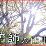 【匠】この道50年 大木を伐採する”空師”の仕事とは　徳島　NNNセレクション