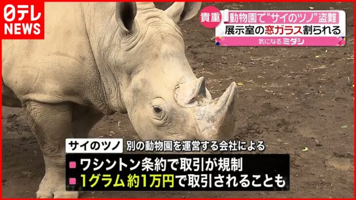 【盗難】動物園“サイのツノ” 5000万円相当の価値