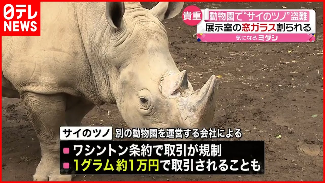 【盗難】動物園“サイのツノ” 5000万円相当の価値