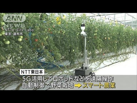5G活用の“スマート農業”　学校給食の生ごみは再エネや肥料に　NTTが公開(2022年6月23日)
