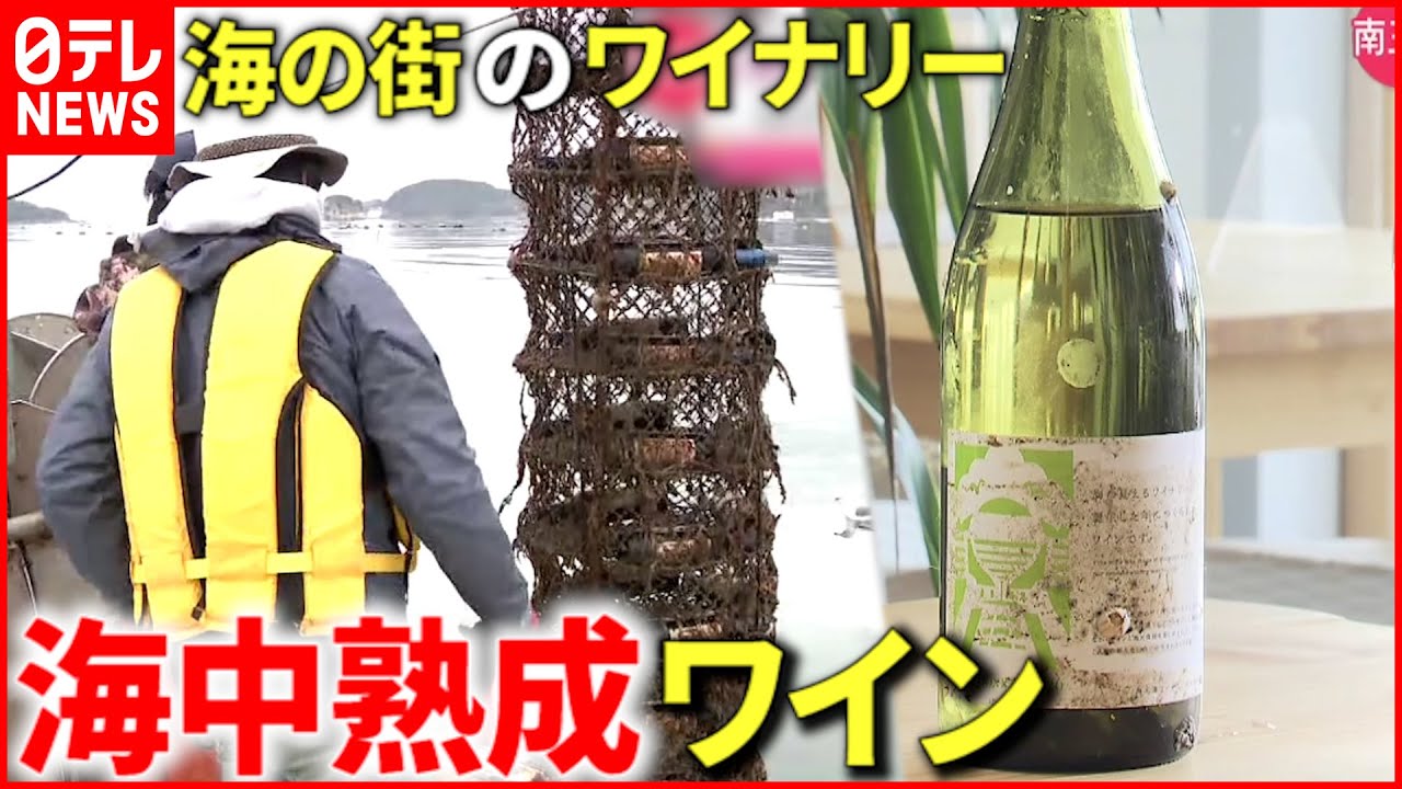 【大人気】海の中で6カ月熟成 “海中熟成ワイン”のヒミツ　宮城　NNNセレクション