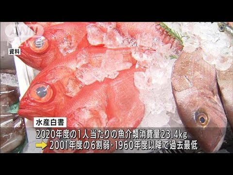 日本人の魚介類消費量が過去最低　ピークの6割弱に(2022年6月3日)