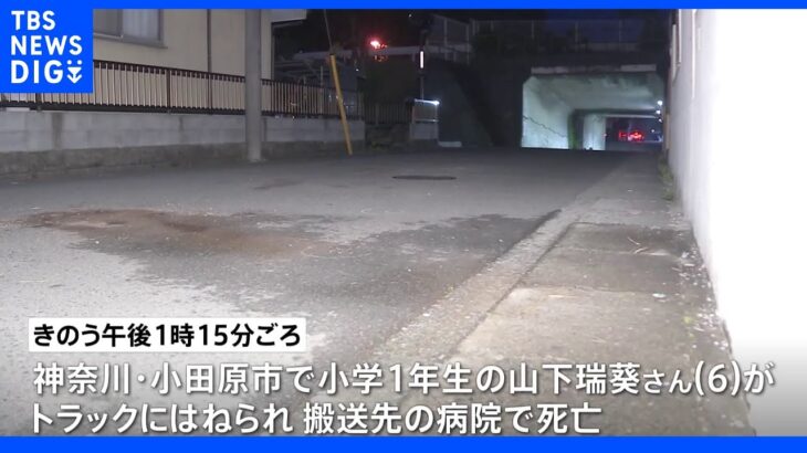 自転車で友人宅に行く途中に…小田原で6歳女児トラックにはねられ死亡　73歳運転手逮捕｜TBS NEWS DIG