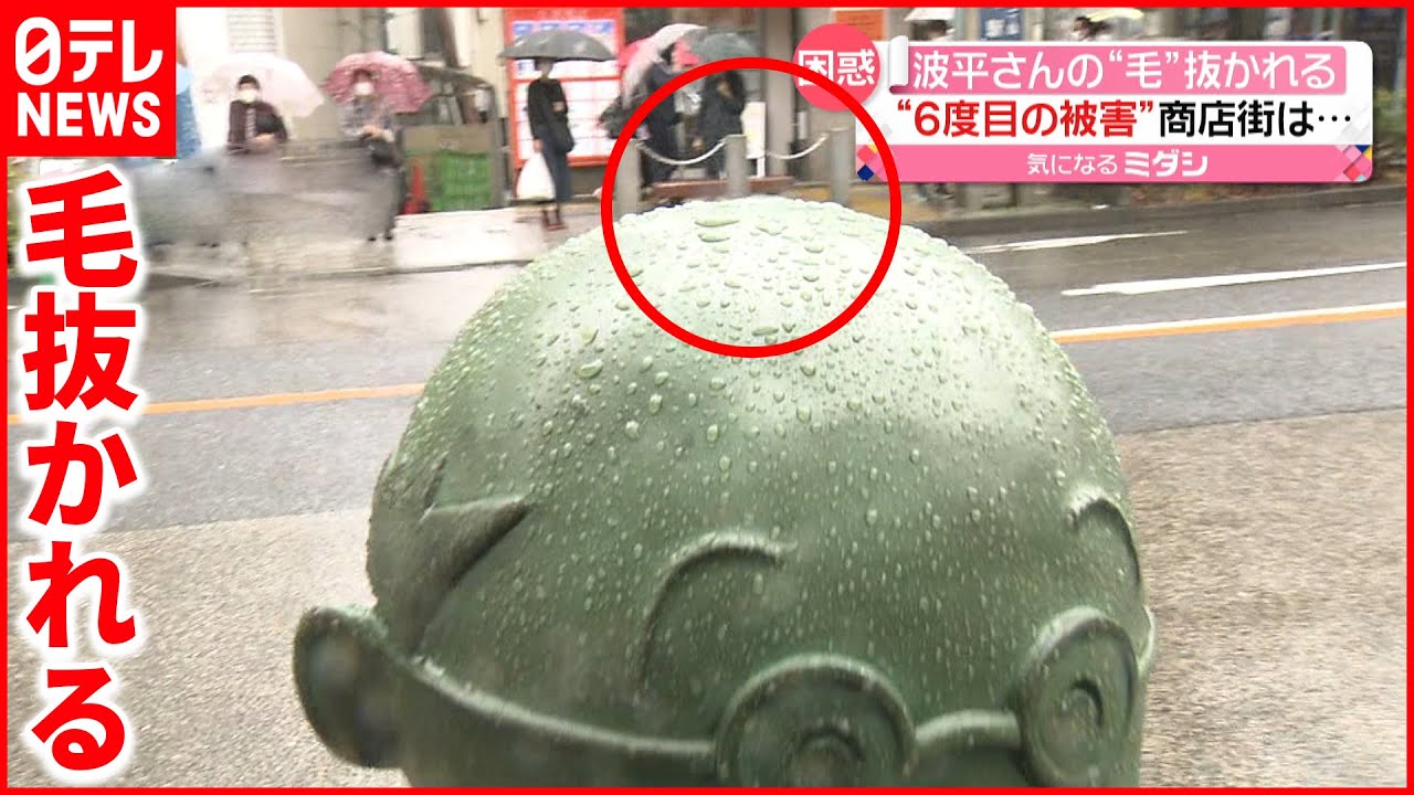 【波平さん】6度目の被害　ワカメちゃんの髪の毛も…