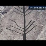 長さ60m　幅30mの植物？“ナスカの地上絵”新たに発見(2022年6月8日)