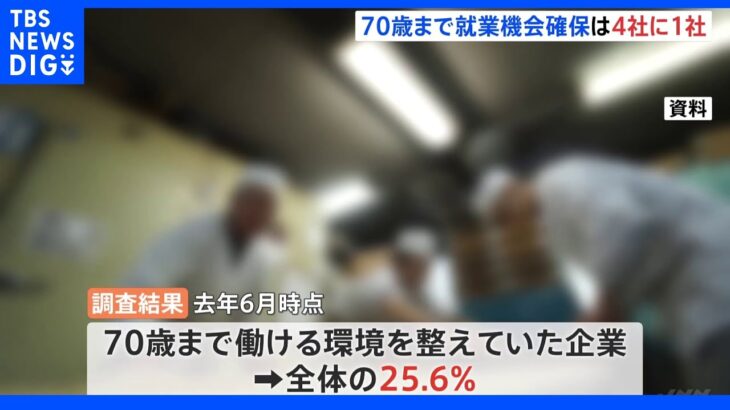 70歳まで就業機会確保の企業は4社に1社 努力義務施行後に初調査 厚労省｜TBS NEWS DIG